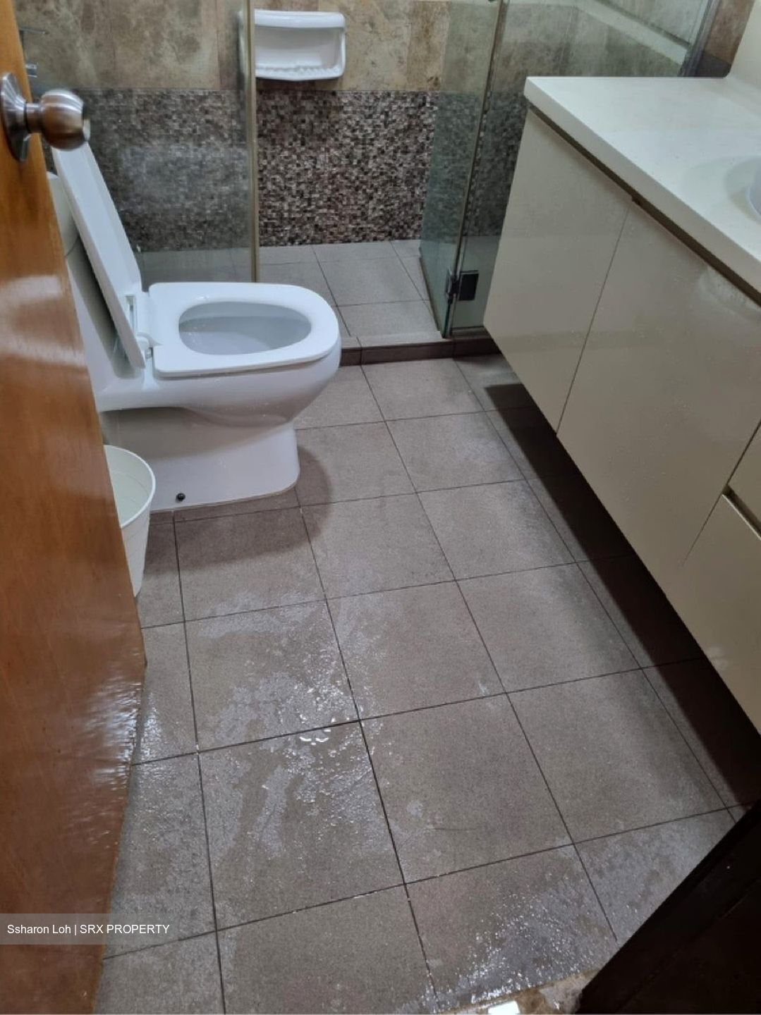 Regent Heights (D23), Condominium #609222961